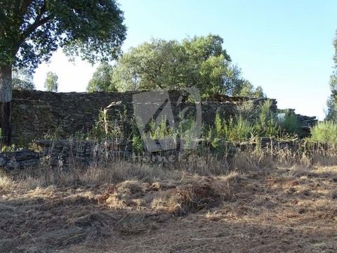 Prachtig landgoed met bijna 3 hectare (27.500 m2) met een plantage van kurkeiken van verschillende leeftijden. Er zijn tientallen kurkeiken die nog hun eerste snede nodig hebben, tientallen die maar één keer zijn geoogst en er zijn er ook die meer da...