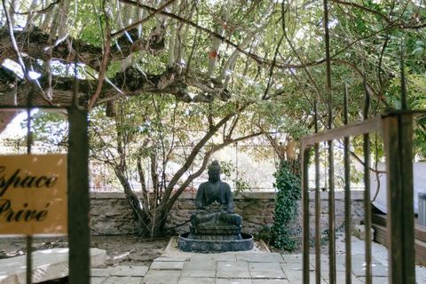 photo no. 20