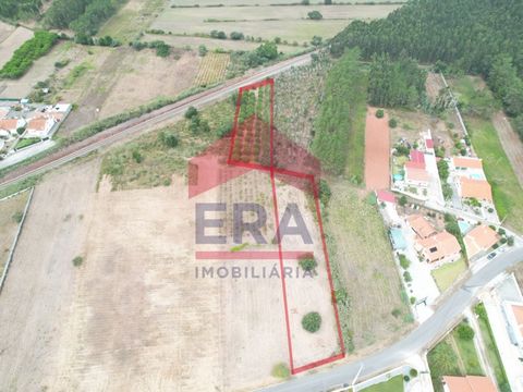 Baugrundstück mit 2940 m² in Tornada, Caldas da Rainha. Gelegen am Stadtrand, in einem Wohn- und Lagerviertel. In der Nähe von Geschäften und Dienstleistungen. 5 Minuten von Caldas da Rainha, 10 Minuten vom Strand Foz de Arelho und eine Stunde von Li...