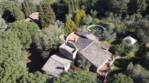 The Camaiore property is a masterpiece nestled in the famous 