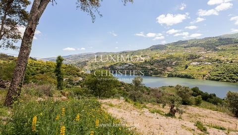 Mit einer hervorragenden Lage am Fluss Douro und mit Zugang zum Bahnhof der Douro-Linie und der Anlegestelle des Flusses Aregos, grenzt dieses Anwesen auch an den legendären Jacinto-Weg , aus dem berühmten Roman von Eça Queiroz , A Cidade e as Serras...