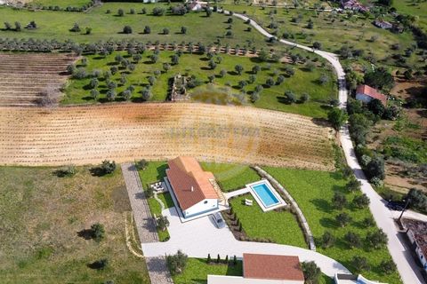 Farm with swimming pool, located in Santarém, one hour from Lisbon, inserted in an open field, implanted in a plot of 22,560 m2. Excellent traditional single storey villa consisting of 4 bedrooms, entrance hall, fully equipped kitchen and living room...