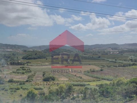 Maison à récupérer à Sobral da Lagoa, Óbidos. Avec 2 chambres, cuisine, salle de bain, cave, grenier et annexe de 50 m². Inséré dans un lot de 505 m² Bonne exposition solaire bien située dans un quartier résidentiel, à proximité de terrains de golf p...