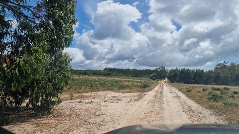 ¡Bienvenido a la serenidad de Raposeira, Vila do Bispo! Esta parcela rústica de 5000 metros cuadrados, enclavada en las montañas, ofrece una escapada única cerca de las impresionantes playas de Costa Vicentina. Imagínese construir su refugio personal...