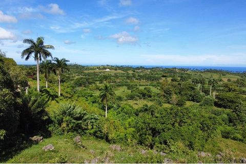 Terrain spacieux avec vue spectaculaire sur la mer à Loma del Burro, Cabrera D’une superficie de 10 936 m² , ce vaste terrain à Loma del Burro, Cabrera, offre une opportunité exceptionnelle de construire une propriété de luxe ou un développement tour...