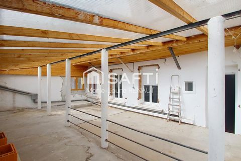 photo no. 5