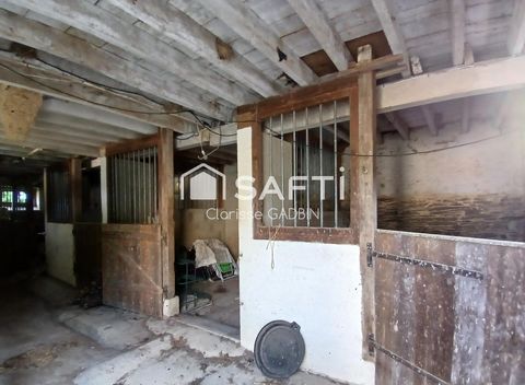 photo no. 16