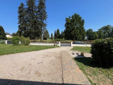 photo no. 6