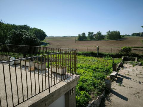 photo no. 2