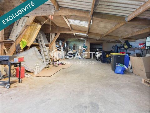 photo no. 16