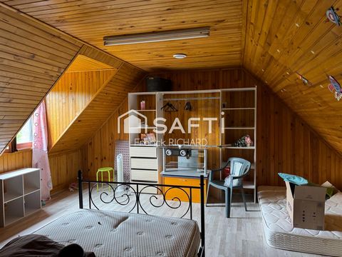 photo no. 6