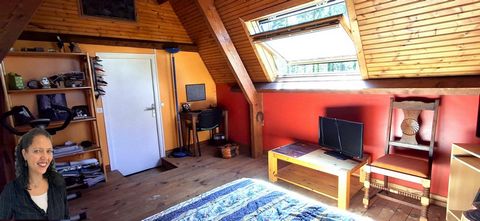 photo no. 10