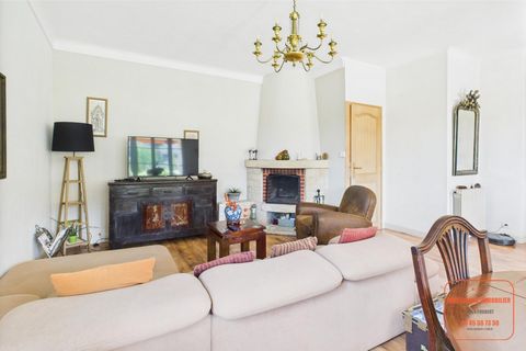 photo no. 2