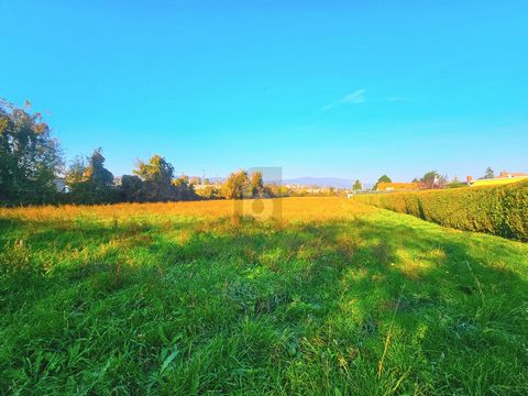 This plot in Baden offers the perfect opportunity for nature lovers and sports enthusiasts. With a plot area of 6748 m² and the dedication as grassland/sports and leisure areas, there is space for allotments and sports fields. The possibility of expa...