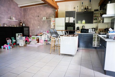 photo no. 11