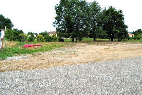 photo no. 1
