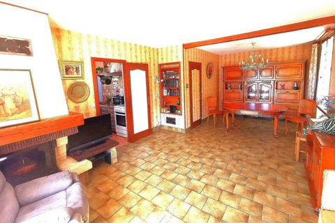 photo no. 4