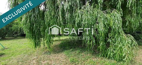 photo no. 12