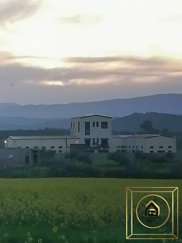 FJ Morocco Agency biedt deze prachtige ranch op 3 hectare met een groot meer te koop aan in Nebeur in Tunesië. een echte oase van rust op slechts 1u30 rijden (toegang tot de snelweg) van Tunis. Deze ranch heeft twee gastenverblijfvilla's van elk onge...