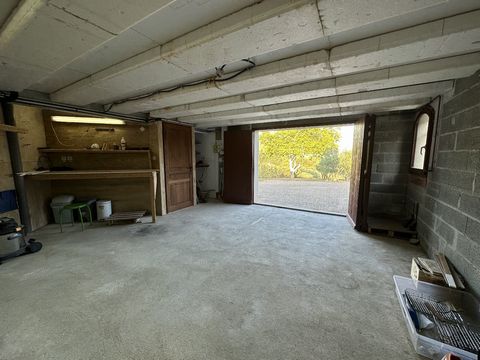 photo no. 19