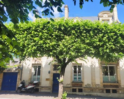 photo no. 15