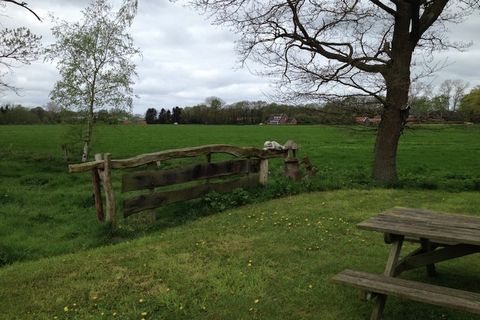 Take a break from city life at this family-centric holiday home near Geesteren, Overijssel. Dedicated to making the vacation memorable for kids, this home has lush green lawns, friendly farm animals and a children’s bed and high chair. This vacation ...