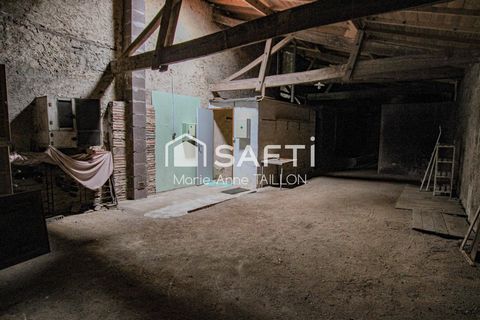 photo no. 6