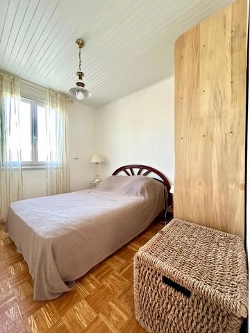 photo no. 9