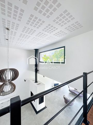 photo no. 8