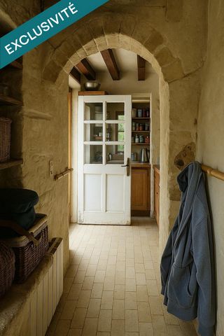 photo no. 8