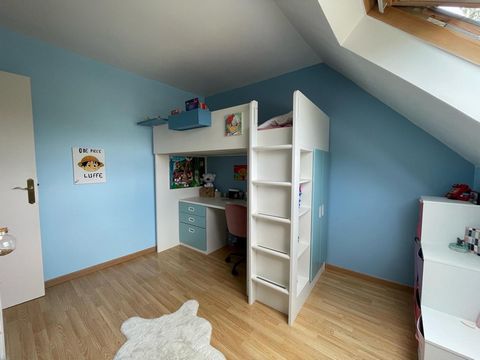 photo no. 8