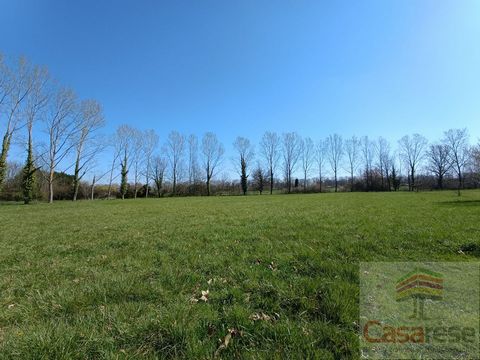 photo no. 10