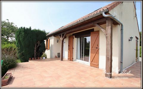 Maison à vendre 6 pièces DADONVILLE (45), sous sol, 4 chambres, vie de plain pied, Terrain clos, commerces de proximité, poêle a granulés