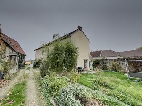 photo no. 12