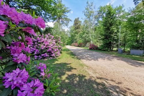 Nestling in the beautiful countryside, this is a 3-bedroom holiday home in Holten, close to Lake IJssel. The holiday home has a decked terrace with a barbecue to enjoy the evenings. You can stay here in comfort with your family or a group having not ...