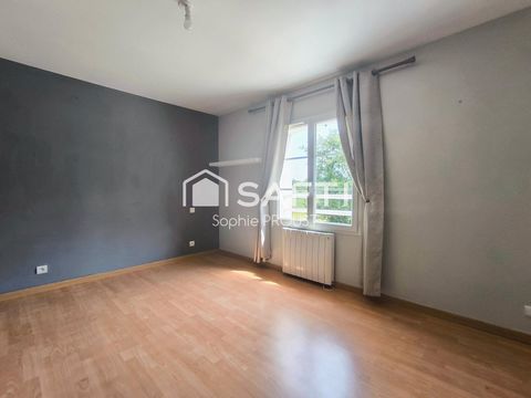 photo no. 11