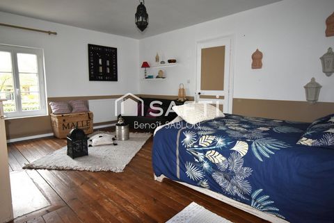 photo no. 6
