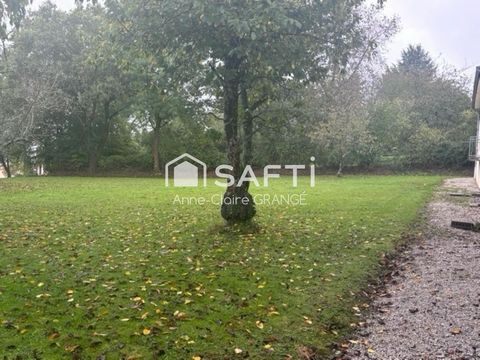 photo no. 7