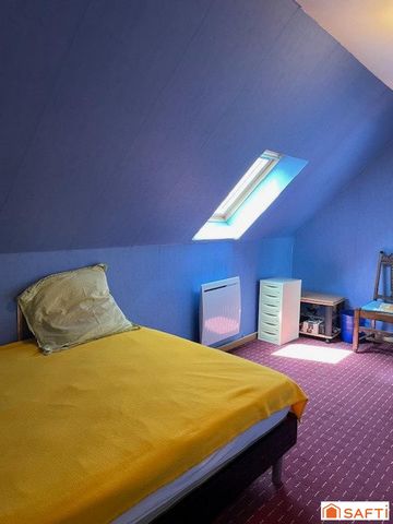 photo no. 11