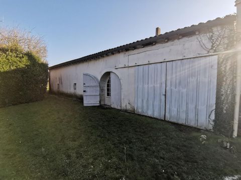 photo no. 5
