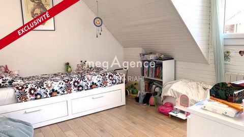 photo no. 11
