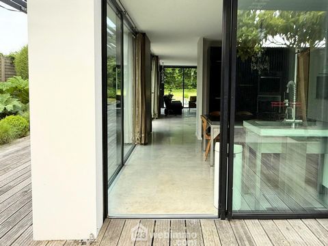 photo no. 9