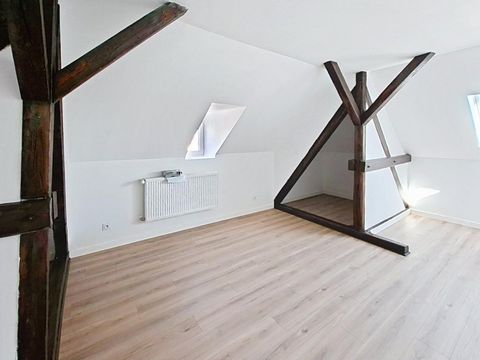 photo no. 7