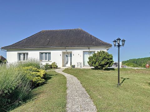 photo no. 2