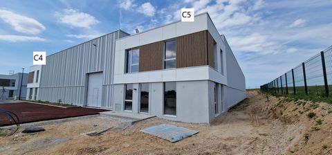 photo no. 2