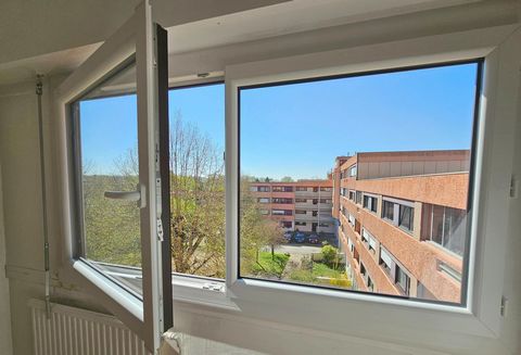 photo no. 13
