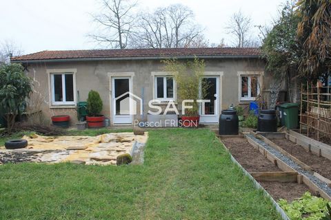 photo no. 18