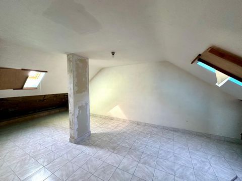 photo no. 7
