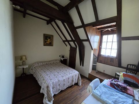 photo no. 11