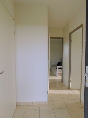 photo no. 4